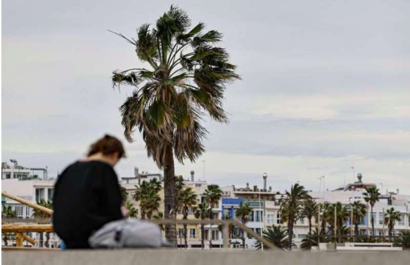 En la imagen se aprecia la fuerza del viento en las palmeras del Paseo Marítimo de Valéncia. EFE/Ana Escobar