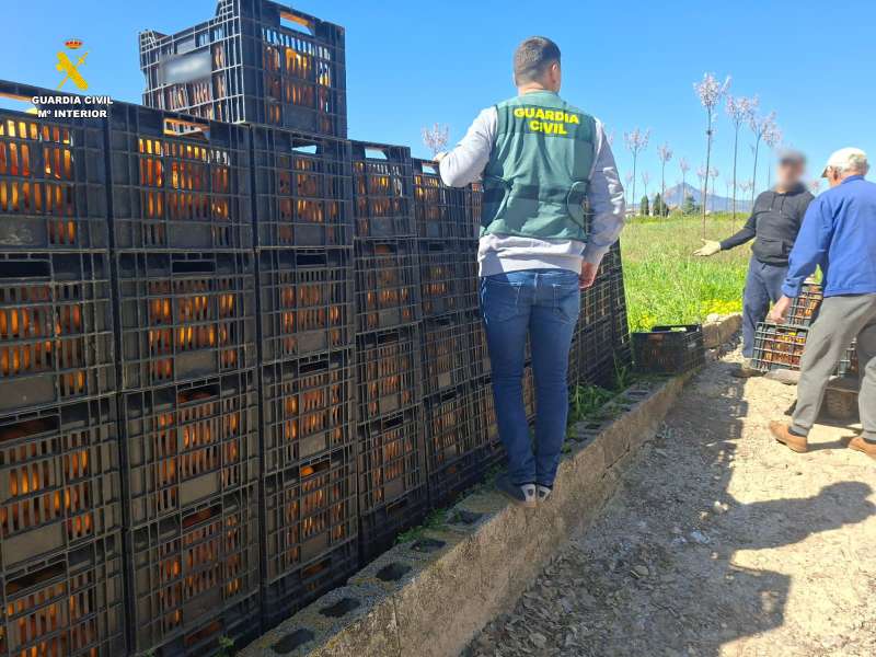 Imágenes de la intervención de la Guardia Civil. / EPDA