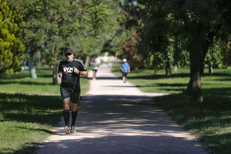 Una persona hace deporte a la sombra de los árboles del antiguo cauce del río Turia. EFE/Manuel Bruque/Archivo
