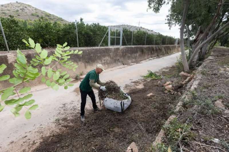 Un operari del SEPE agrícola treballa en la millora dels espais naturals a Gandia /EPDA