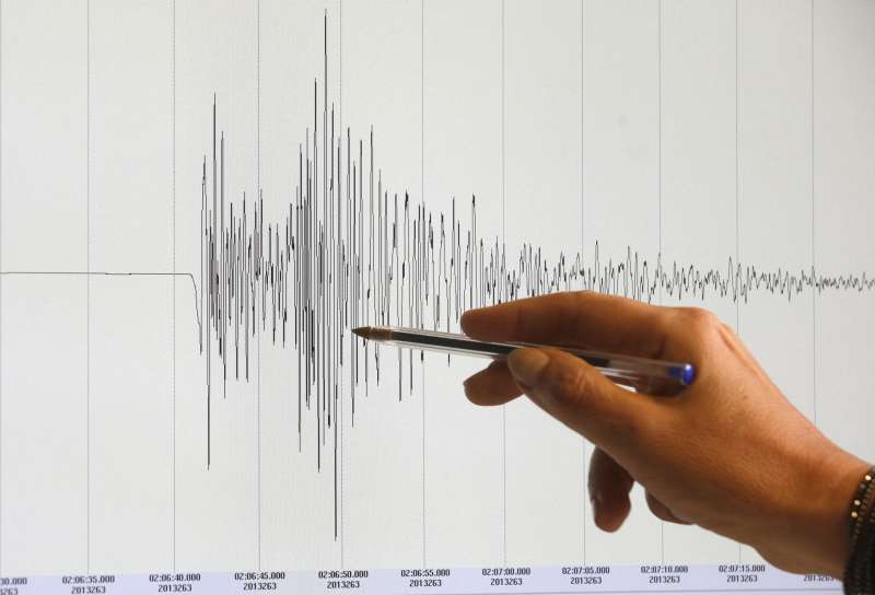Gráfico de un terremoto. EFE/Georg Hochmuth/Archivo
