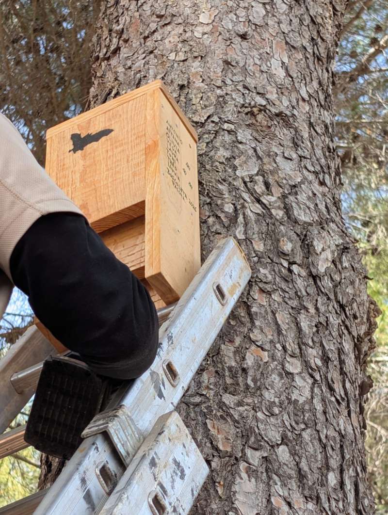 Instalación de una casita para pájaros. EPDA