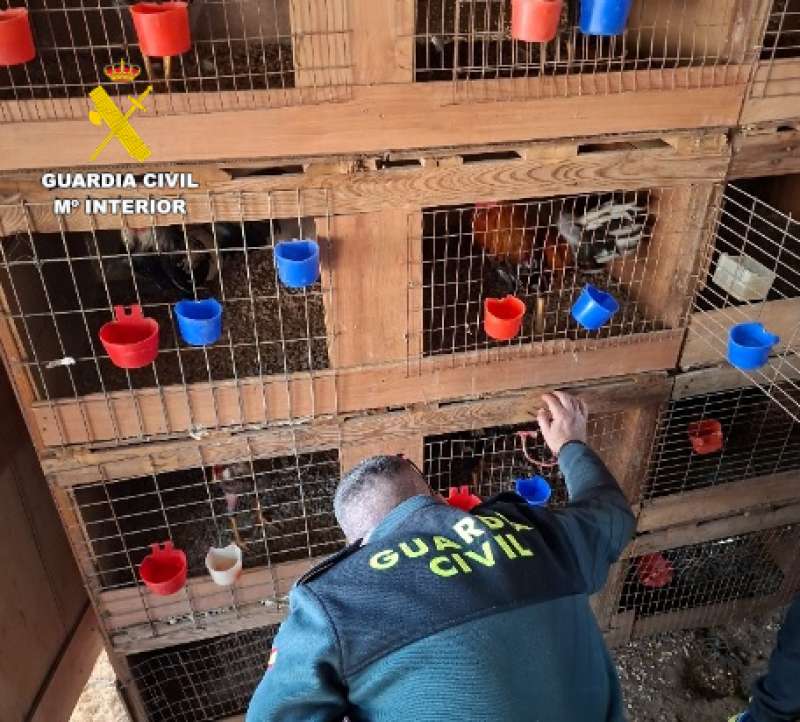 Imagen cedida por la Guardia Civil /EPDA
