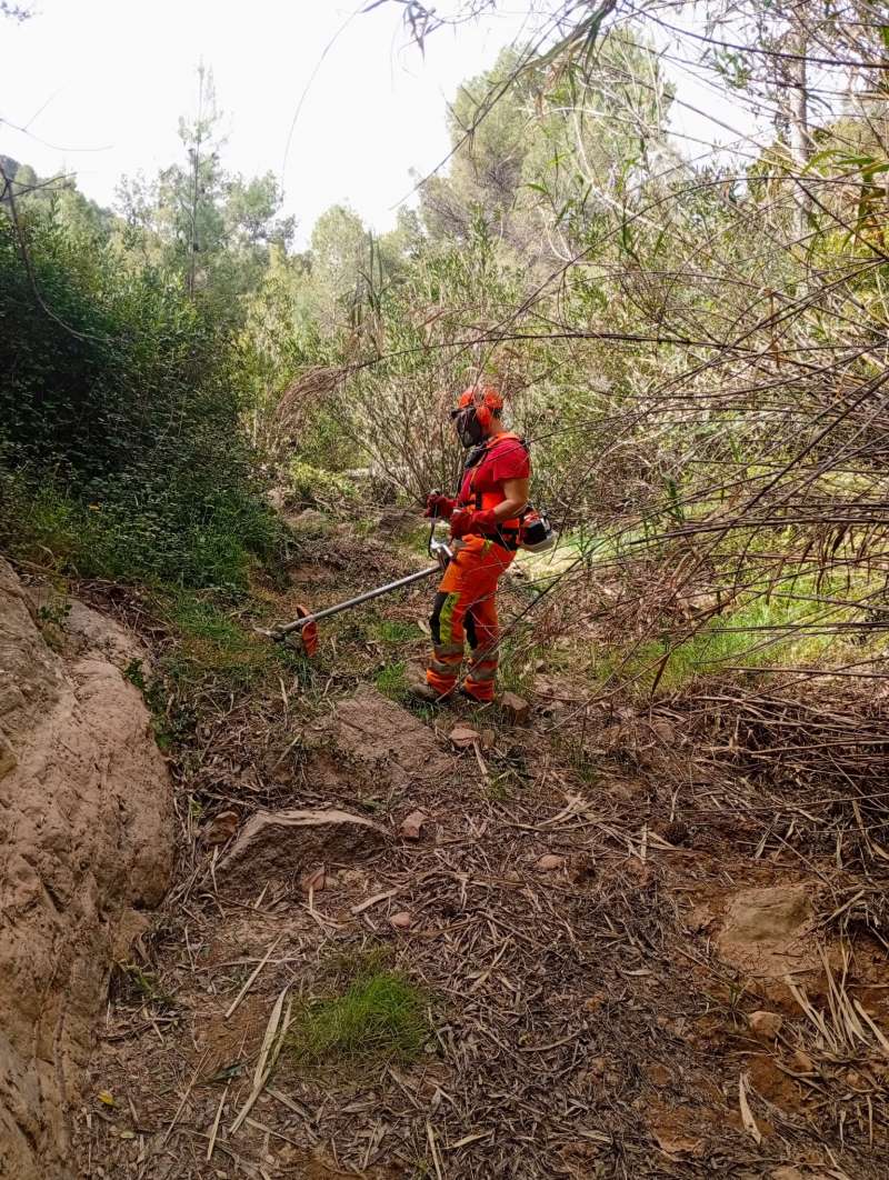 Trabajos de prevención de incendios en Marines Viejo. /EPDA
