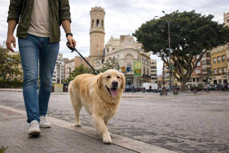 Una persona pasea a su perro. / EPDA
