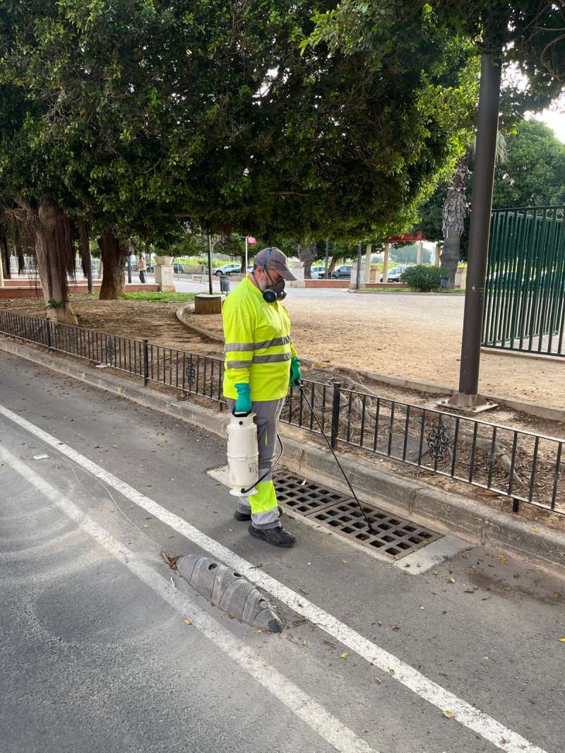 Treballs de prevenció a Algemesí davant la possible aparició del mosquit tigre. / EPDA