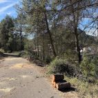 Trabajos forestales en Montanejos