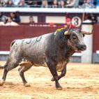 Bou de La Quinta