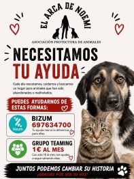 Cartel ayuda El arca de Noemi./ EPDA Cartel ayuda El arca de Noemi./ EPDA