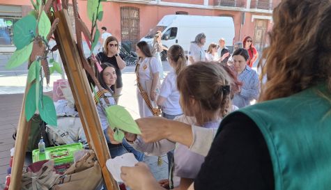 Actividad ACUDIM