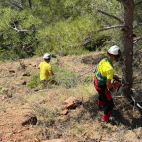Continúan Las labores de prevención de incendios forestales