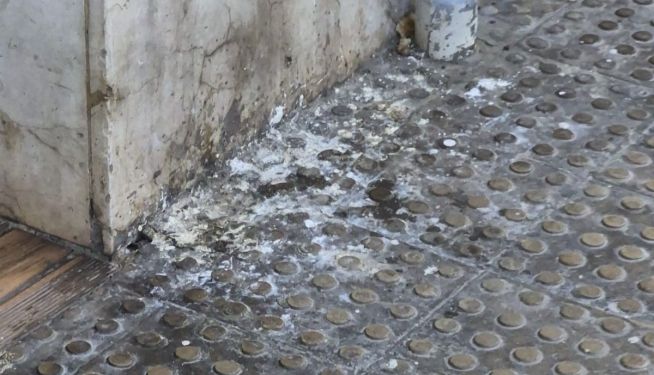 Una plaga de palomas afecta la Avenida 9 d'Octubre, en el Port de Sagunt. Una plaga de palomas afecta la Avenida 9 d'Octubre, en el Port de Sagunt.