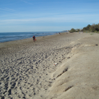 La playa de Torre de la Sal, en Cabanes, permanece cerrada al baño por contaminación bacteriana.