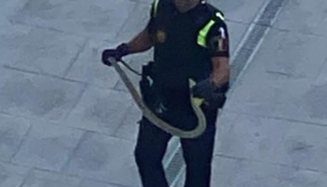 WEB 1800x1200 (24) WEB 1800x1200 (24)