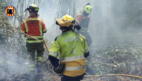 Incendio en Estivella. 