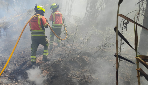 Agentes de bomberos trabajan en la extinción del incendio.