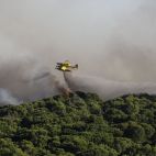 Imagen de archivo de un incendio en la Devesa del Saler. / EFE-Biel Alino