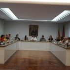 Plenari Juny./ EPDA