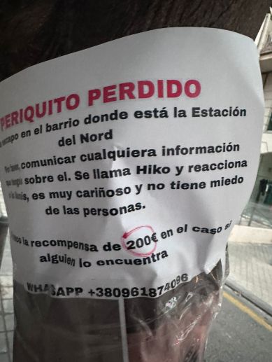 Carteles pegados por la ciudad de Valencia.