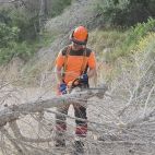 Trabajos de prevención de incendios forestales en la Comunitat Valenciana.