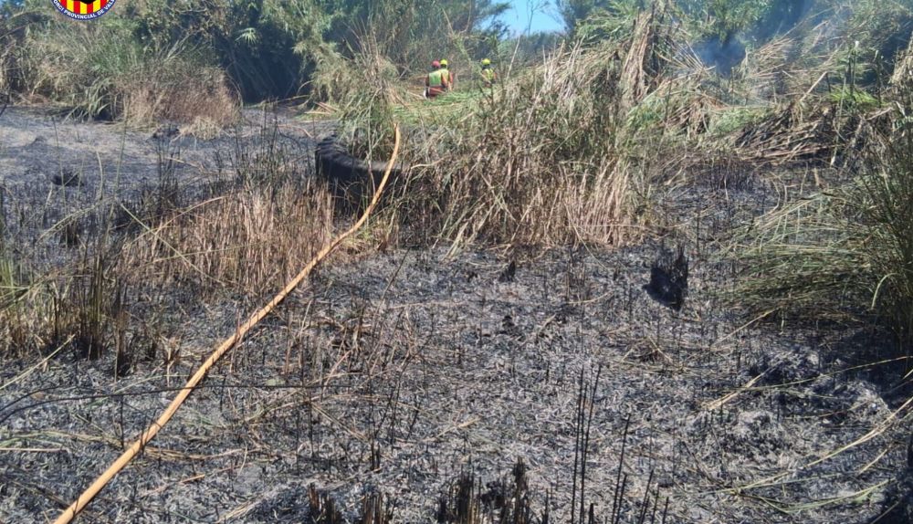 Bomberos trabajan entre el cañaveral calcinado en Sagunt. / Consorcio Provincial de Bomberos de Valencia