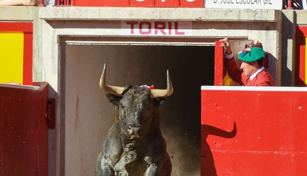 Bou d'Escolar. / À Punt Bou d'Escolar. / À Punt