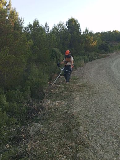 Imagen 1 — Un operario de brigada forestal desbroza la vegetación junto a un camino de tierra en el monte. / EPDA Imagen 1 — Un operario de brigada forestal desbroza la vegetación junto a un camino de tierra en el monte. / EPDA