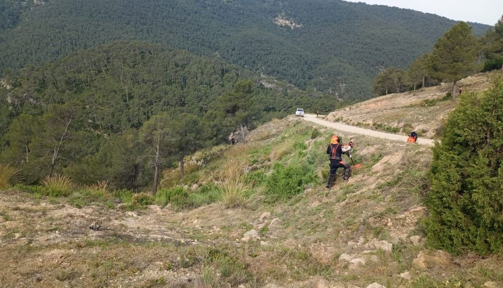 Un miembro de la brigada trabaja en una faja del monte. / EPDA Un miembro de la brigada trabaja en una faja del monte. / EPDA