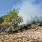 Efectivos del Consorci Provincial de Bombers trabajan en las labores de extinción del incendio. / Imagen de archivo del Consorci Provincial de Bombers de València