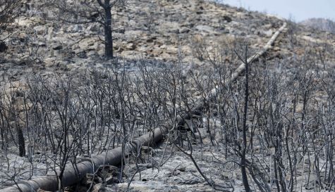 Una tubería recorre un paisaje quemado en la Vilavella, uno de los municipios afectados por el incendio declarado el pasado sábado en La Vall d'Uixó. / EFE- Una tubería recorre un paisaje quemado en la Vilavella, uno de los municipios afectados por el incendio declarado el pasado sábado en La Vall d'Uixó. / EFE-