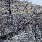 Una tubería recorre un paisaje quemado en la Vilavella, uno de los municipios afectados por el incendio declarado el pasado sábado en La Vall d'Uixó. / EFE-