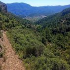 Una de las sendas homologadas que se beneficiarán de las ayudas de la Generalitat para mejorar su conservación, señalización y seguridad.