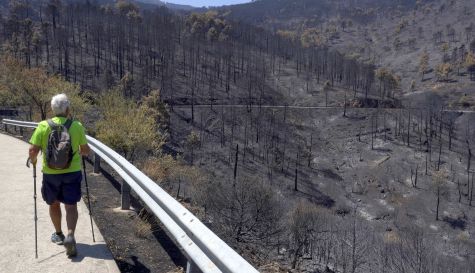 Un senderista recorre una zona afectada por un incendio forestal. / EFE-Raúl Sanchidrián