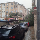 Un árbol caído sobre varios vehículos estacionados en una calle durante el episodio de fuertes vientos y tormenta. / EPDA