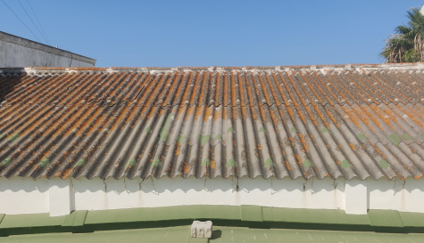 Un tejado de fibrocemento, con evidentes signos de deterioro y colonización de líquenes. Un tejado de fibrocemento, con evidentes signos de deterioro y colonización de líquenes.