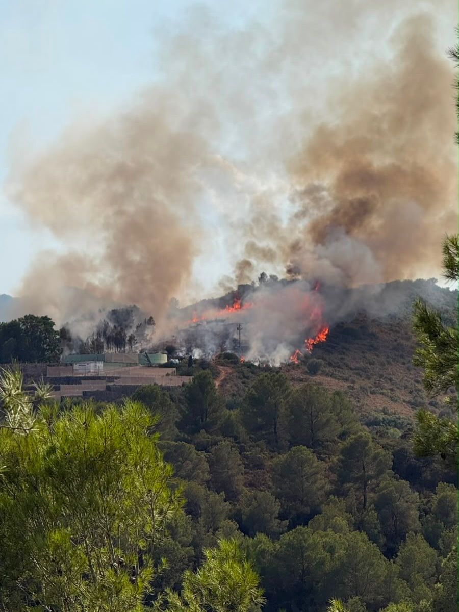 L'incendi forestal a Xàtiva ha afectat 2,5 hectàrees. L'incendi forestal a Xàtiva ha afectat 2,5 hectàrees.