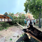 Reial de la Fira de Xàtiva durante la tormenta, que ha dejado rachas de viento cercanas a los 90 kmh y daños en varios espacios de la Fira d’Agost. Ajuntament de Xàtiva. Reial de la Fira de Xàtiva durante la tormenta, que ha dejado rachas de viento cercanas a los 90 kmh y daños en varios espacios de la Fira d’Agost. Ajuntament de Xàtiva.