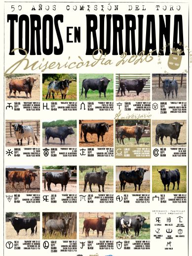 Programación taurina de las Fiestas de la Misericordia 2026. Programación taurina de las Fiestas de la Misericordia 2026.