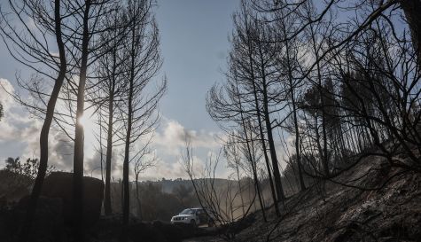 Un vehículo de brigadas forestales circula por una zona arrasada por las llamas del incendio de Segorbe./ EFE Un vehículo de brigadas forestales circula por una zona arrasada por las llamas del incendio de Segorbe./ EFE