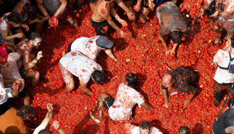 tomatina (2)
