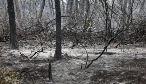 Un bombero camina por una de las zonas arrasadas por las llamas en una imagen de archivo. Un bombero camina por una de las zonas arrasadas por las llamas en una imagen de archivo.