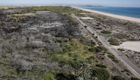 La CV-500 y las playas de El Saler recuperan la normalidad después del incendio forestal declarado el pasado jueves. EFE/Manuel Bruque La CV-500 y las playas de El Saler recuperan la normalidad después del incendio forestal declarado el pasado jueves. EFE/Manuel Bruque