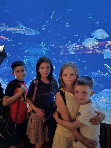 Varios de los niños acogidos por Vacaciones en Paz, durante la visita al Oceanogràfic de Valencia el pasado mes de julio. Varios de los niños acogidos por Vacaciones en Paz, durante la visita al Oceanogràfic de Valencia el pasado mes de julio.