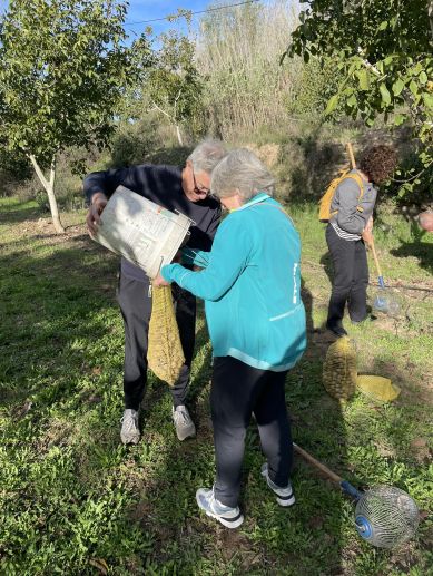 Varios participantes recogen nueces durante la primera edición de Tiempo de Nueces. / Cooperativa de Viver Varios participantes recogen nueces durante la primera edición de Tiempo de Nueces. / Cooperativa de Viver