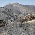Paisaje quemado por el último incendio registrado en La Vall d'Uixó. / EFE-Manuel Bruque Paisaje quemado por el último incendio registrado en La Vall d'Uixó. / EFE-Manuel Bruque