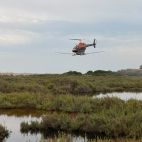 La Diputación fumiga desde el aire los marjales del litoral de Castellón del 6 al 8 de octubre para frenar la proliferación de mosquitos tras las lluvias. La Diputación fumiga desde el aire los marjales del litoral de Castellón del 6 al 8 de octubre para frenar la proliferación de mosquitos tras las lluvias.