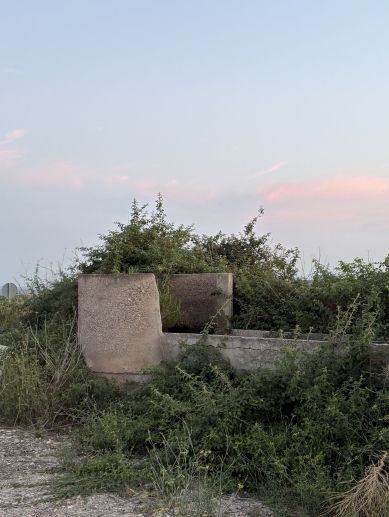 Restos de una antigua infraestructura hidráulica entre la vegetación, testimonio del pasado agrícola de la zona. Restos de una antigua infraestructura hidráulica entre la vegetación, testimonio del pasado agrícola de la zona.