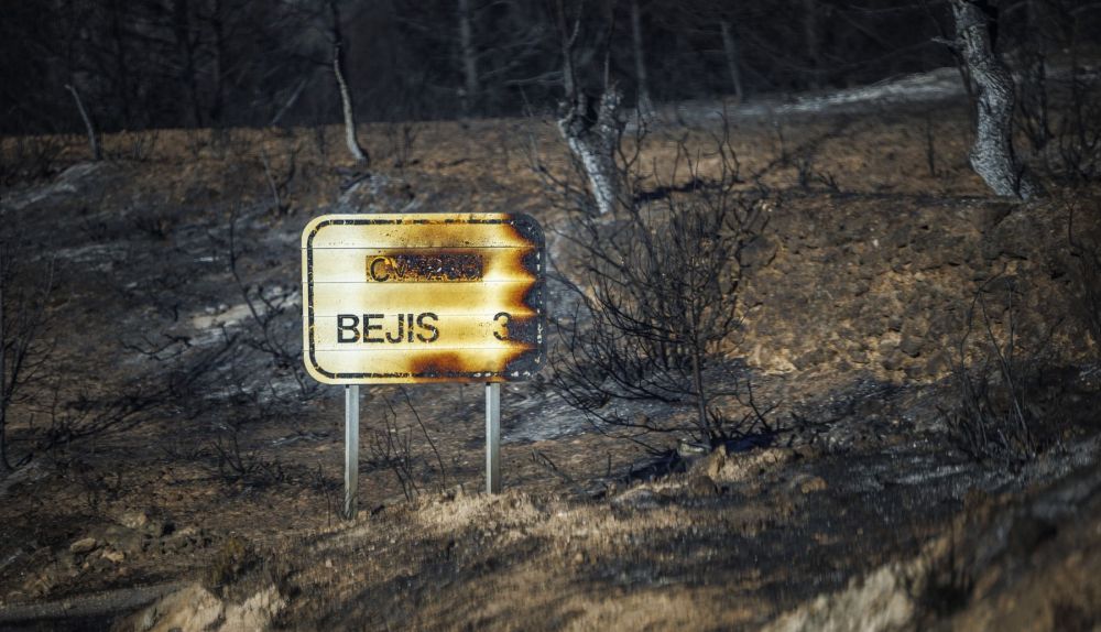 Consecuencias del incendio de Bejís, en 2022. / EFE-Biel Aliño Consecuencias del incendio de Bejís, en 2022. / EFE-Biel Aliño