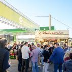 La Feria del Aceite de Enguera incorporará cócteles sin alcohol y sesiones de DJ a su cuarta edición.