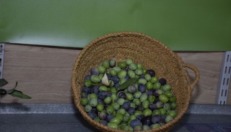 Inauguración de la IV Feria del Aceite de Enguera